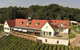 Pension Bella Vista - Winzerhof Golk